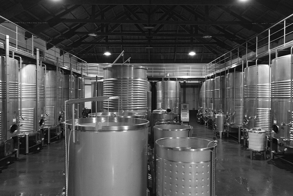 Bodega Valdecontina Vinos denominación de origen Bierzo