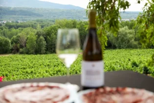 Visita enoturismo Valdecontina